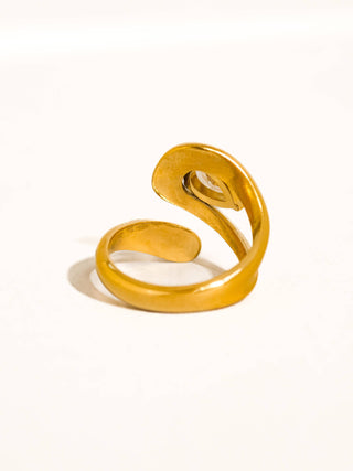 Ronnie Ring