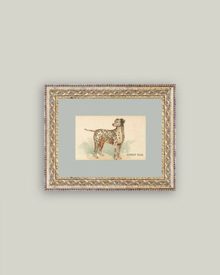 Dalmation Framed Art