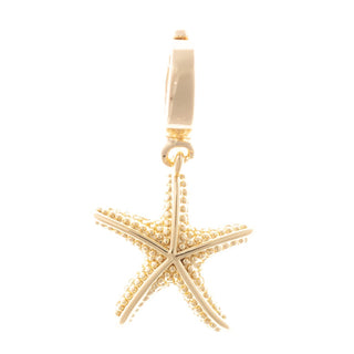 Sophie Charms | Coastal