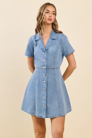 Claudia Denim Dress
