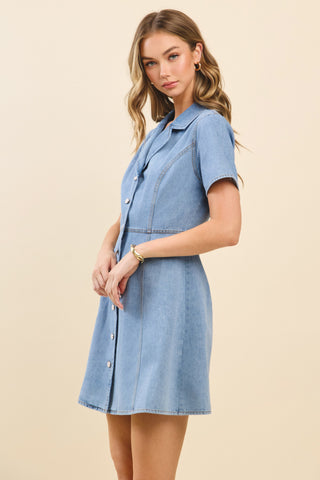 Claudia Denim Dress