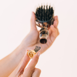 Mini Boar Brush in Tortoise