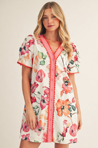 Nancy Dress