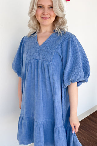 Daisy Dress In Blue