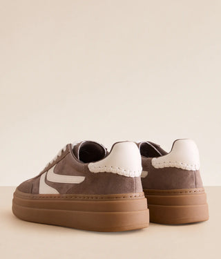 Dodge Sneakers - Steve Madden