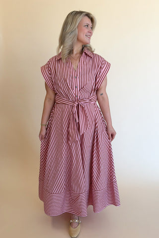 Everything in Place Dress +
