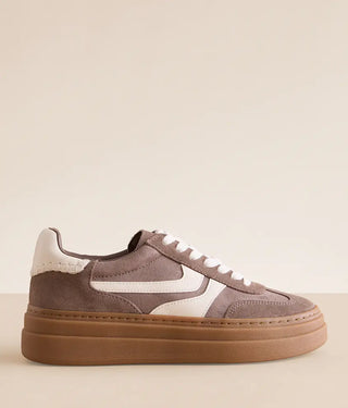 Dodge Sneakers - Steve Madden