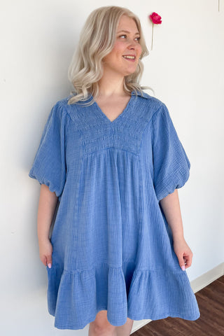 Daisy Dress In Blue