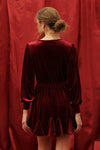 Nina Dress in Burgundy