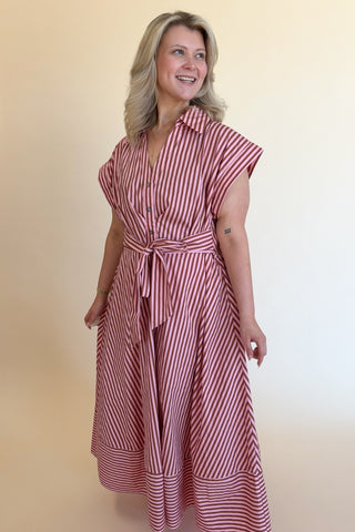 Everything in Place Dress +