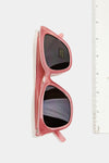 Assorted Acetate Frame Sunglasses