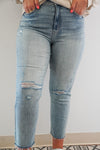 Ally High Rise Straight Crop Jeans