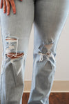 Light Denim High Rise Straight