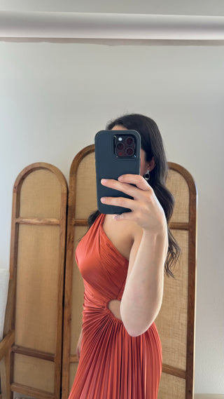 Phenomenal Timing Dress in Sienna