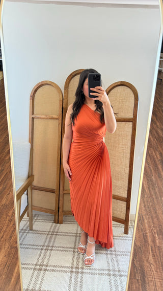 Phenomenal Timing Dress in Sienna