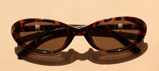 Carson Sunglasses