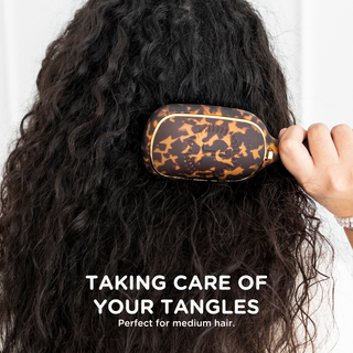 Detangler Brush in Tortoise