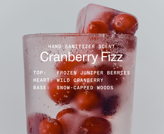 Cranberry Fizz Hand Sanitizer