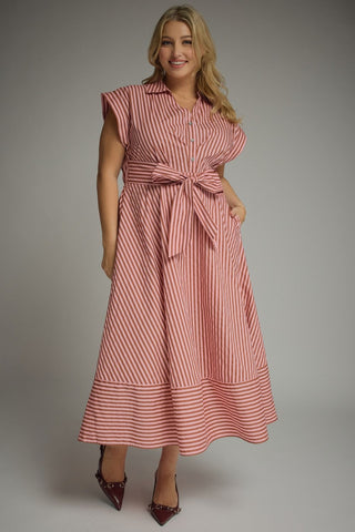 Everything in Place Dress +
