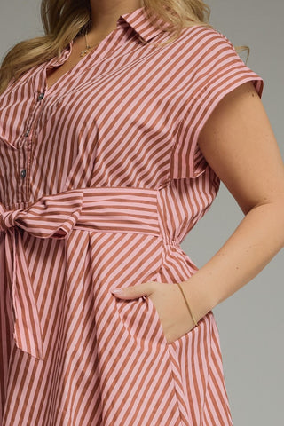 Everything in Place Dress +