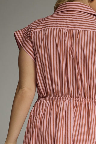 Everything in Place Dress +