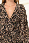 Animal Print Long Sleeve Dress