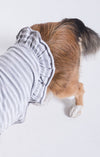 Striped Ruffle Dog Dress